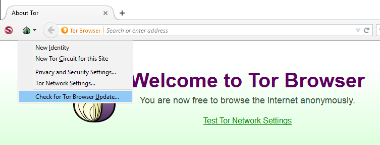 Tor browser упал megaruzxpnew4af браузер тор не скрывает мега